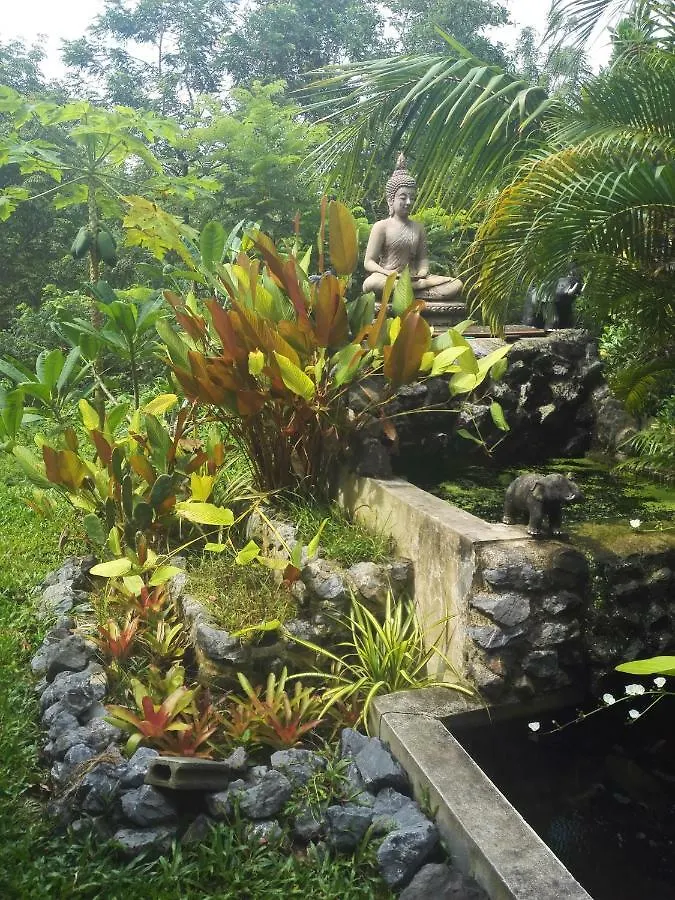 Nananuira Apartment And Room Khao Lak Thailand